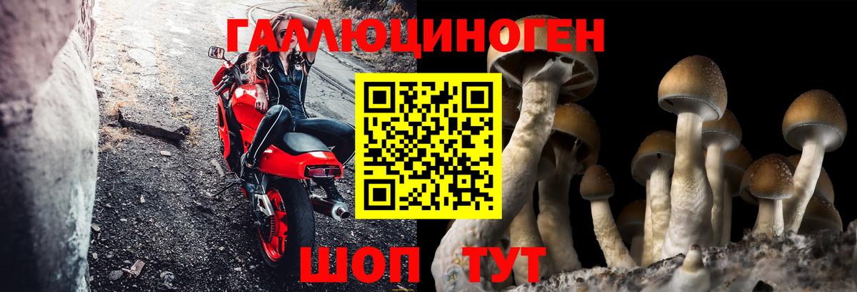 Нягань  Галлюциногенные грибы Magic Shrooms  Галлюциногенные грибы Psilocybe  где продают   Вход с VPN 